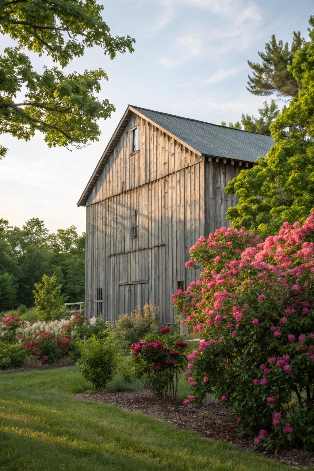 A barn dressed in classic plank and batten cladding, nestled into a blissful green scene.