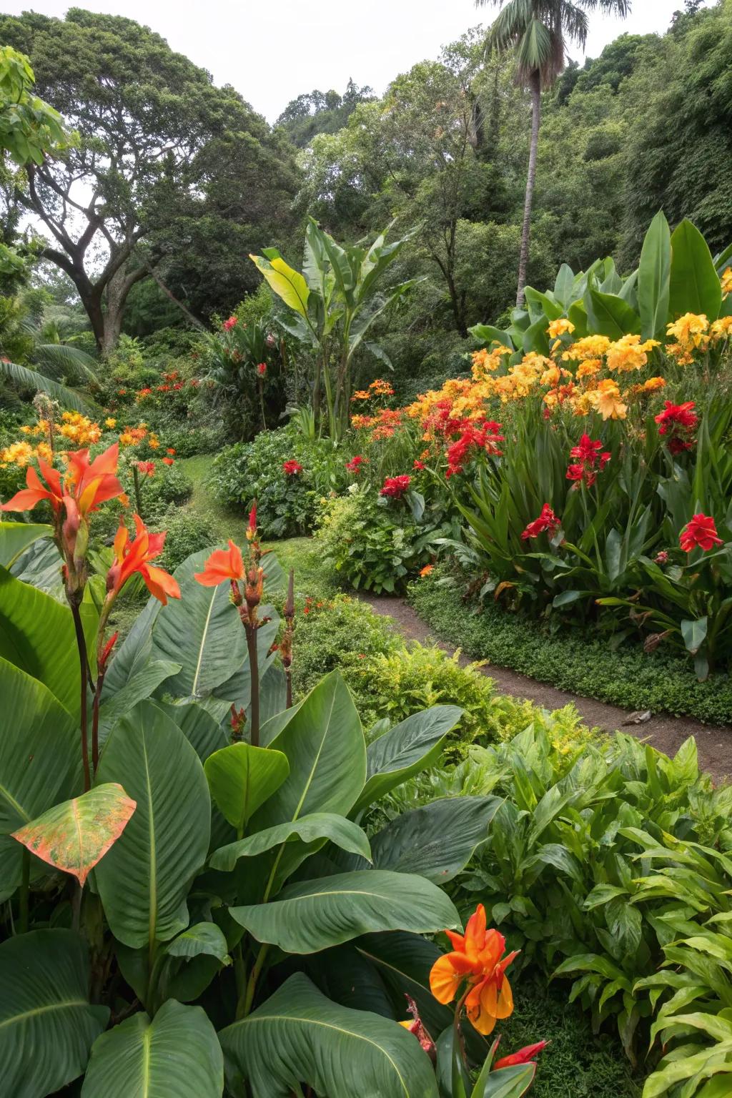 A backyard paradise showcasing tropical flora, including 'Flame' lilies.