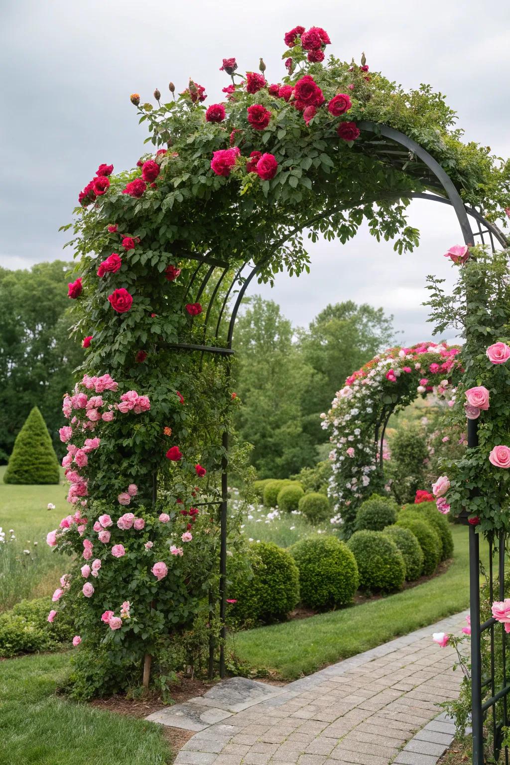 Elevate your garden with an archway cloaked in roses.
