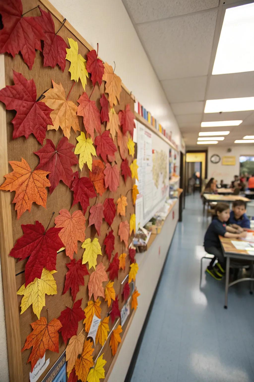 A bulletin board radiating the rich and lively shades of autumn foliage.