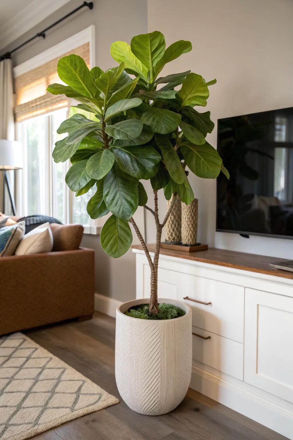Vegetation enlivens any corner, introducing both hue and profundity.