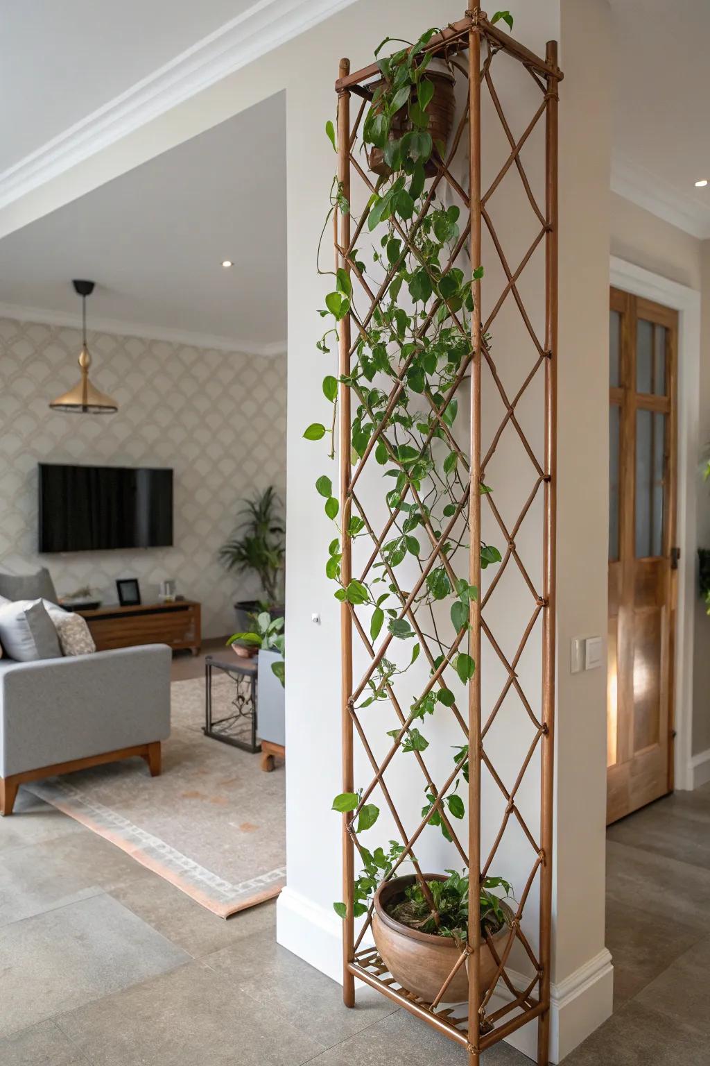 A contemporary living space showcasing a Hoya gracefully climbing a copper support, infusing a touch of sophistication.