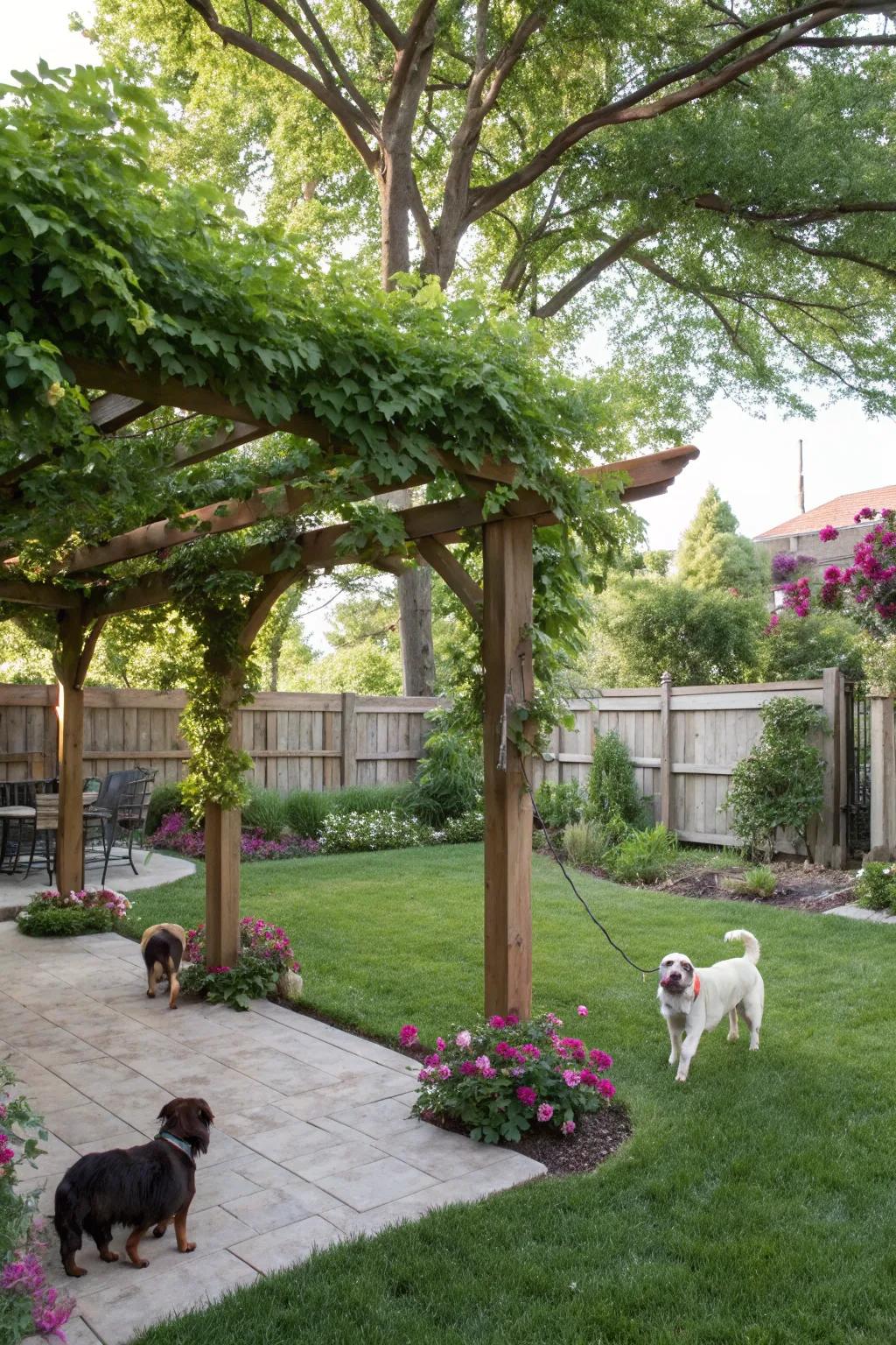 A shady sanctuary for both animals and their people, showcasing an arbor and lush foliage.