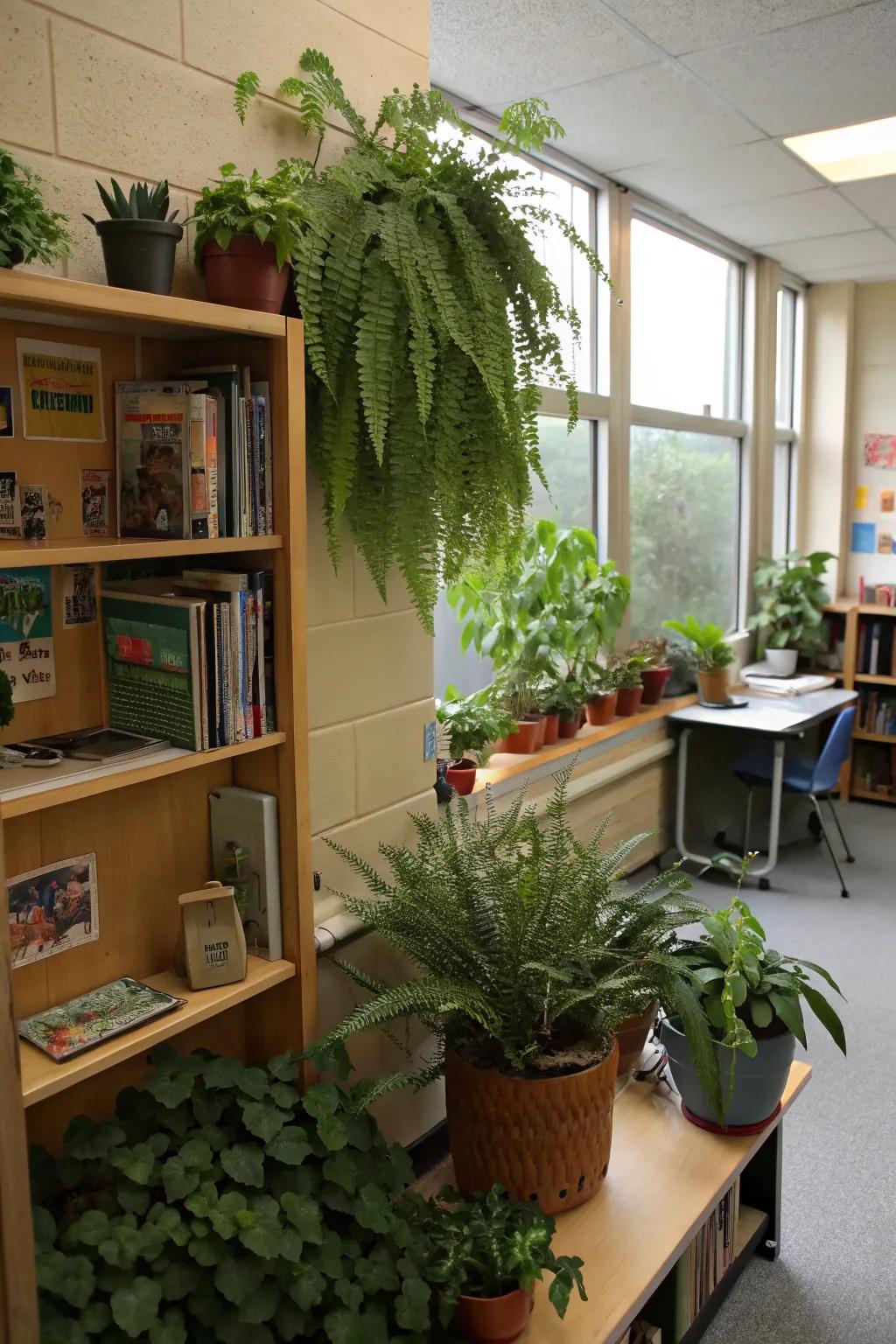 Abundant plants craft a revitalizing and welcoming classroom vibe.