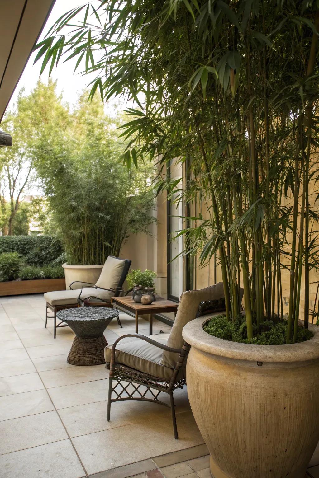 Establish a snug seating space using bamboo for organic shade.