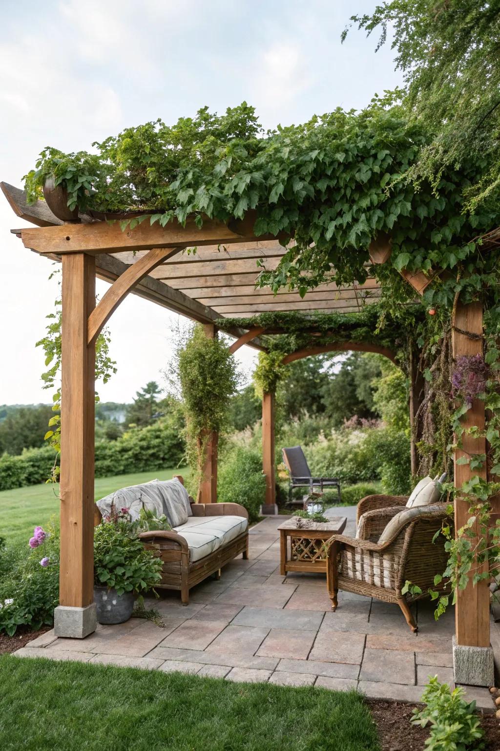 A classic pergola offers a delightful combination of shade and sunlight.