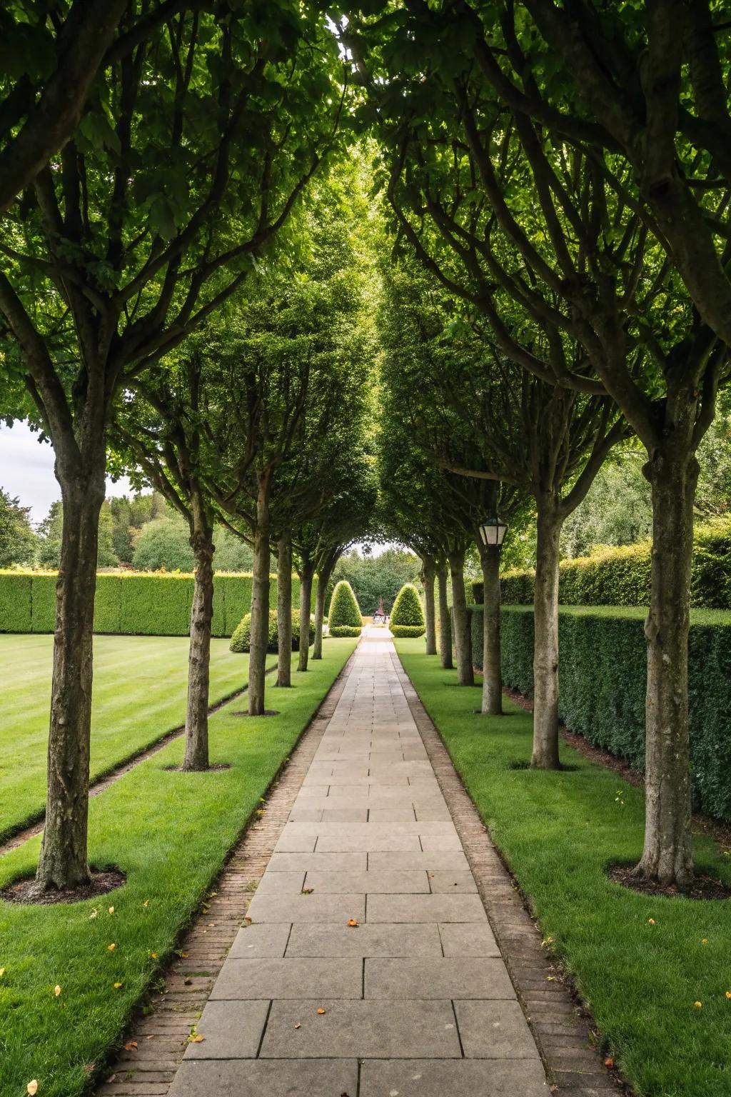 Construct an impressive entrance with perfectly balanced, tree-lined walkways.