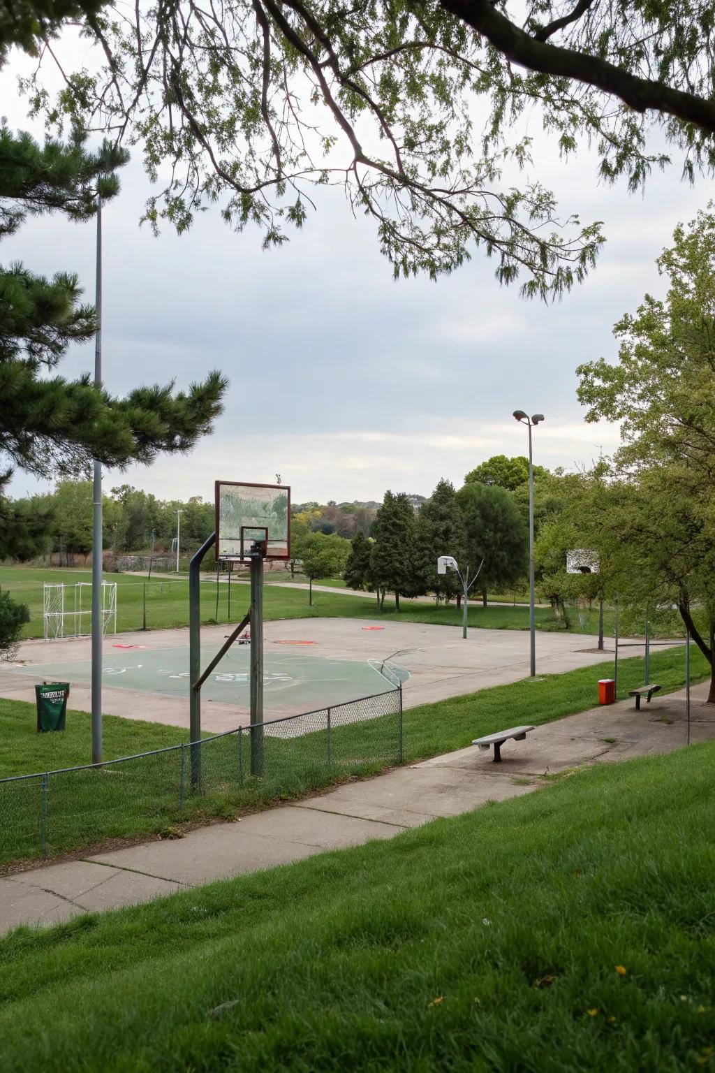 An engaging sports zone for amusement and exercise in the backyard.