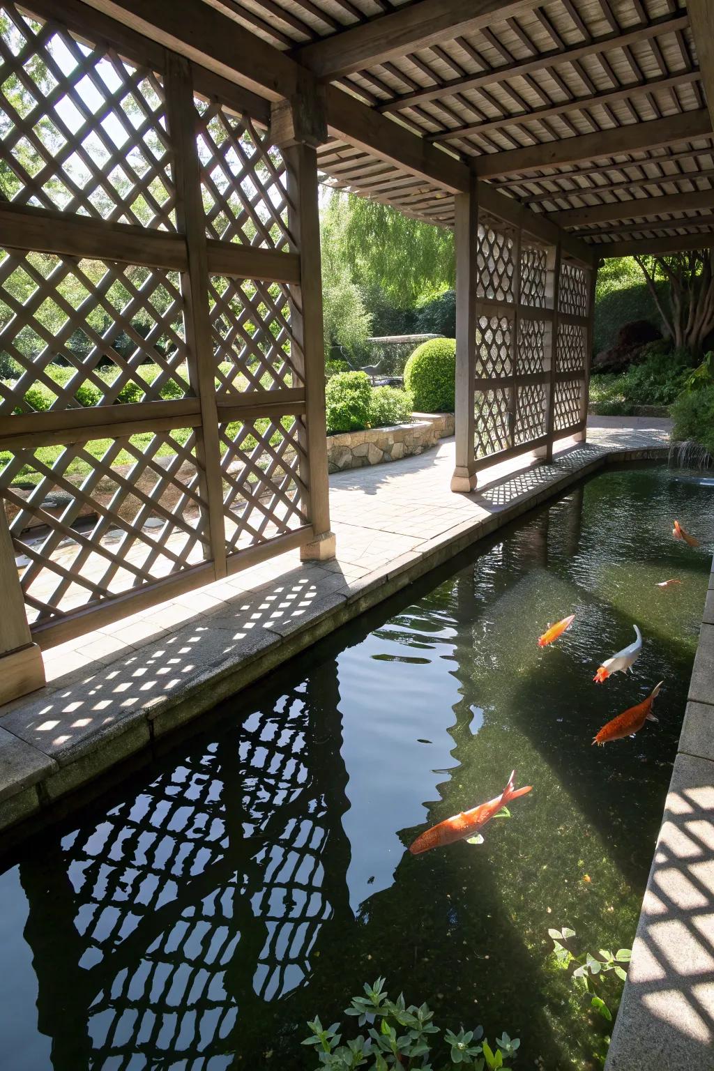 A koi pond with lattice dividers delivering a balance of light and shade.