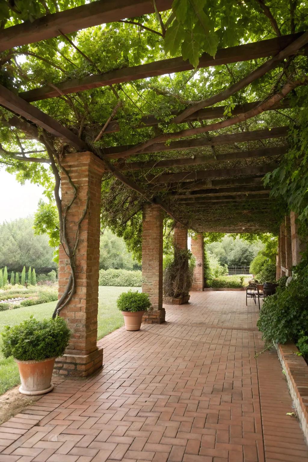An arbor with tendrils fashions a natural canopy above the patio
