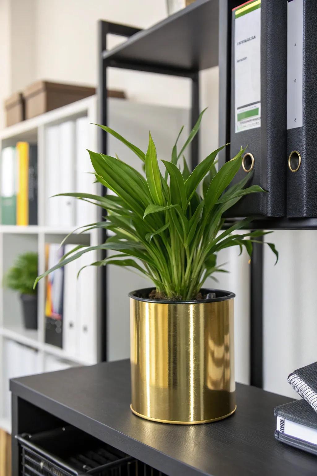 Gilded plant receptacles contribute a dash of nature and elegance to your workspace.