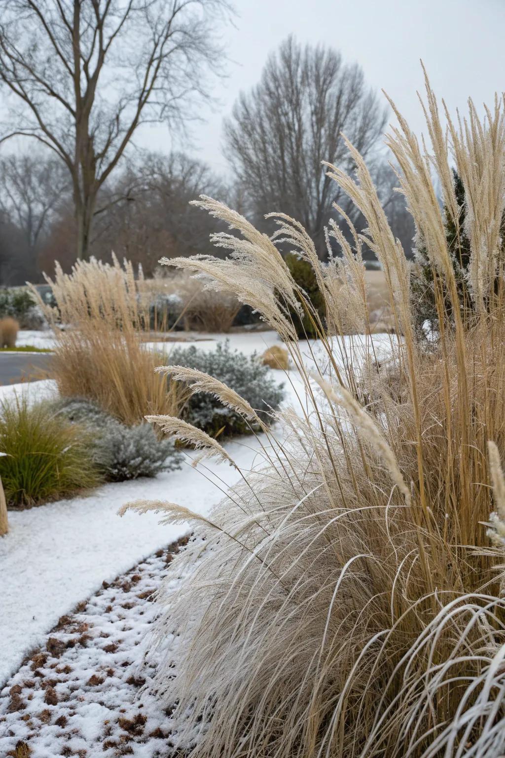 Grasses that can withstand winter keep the garden lively year-round.