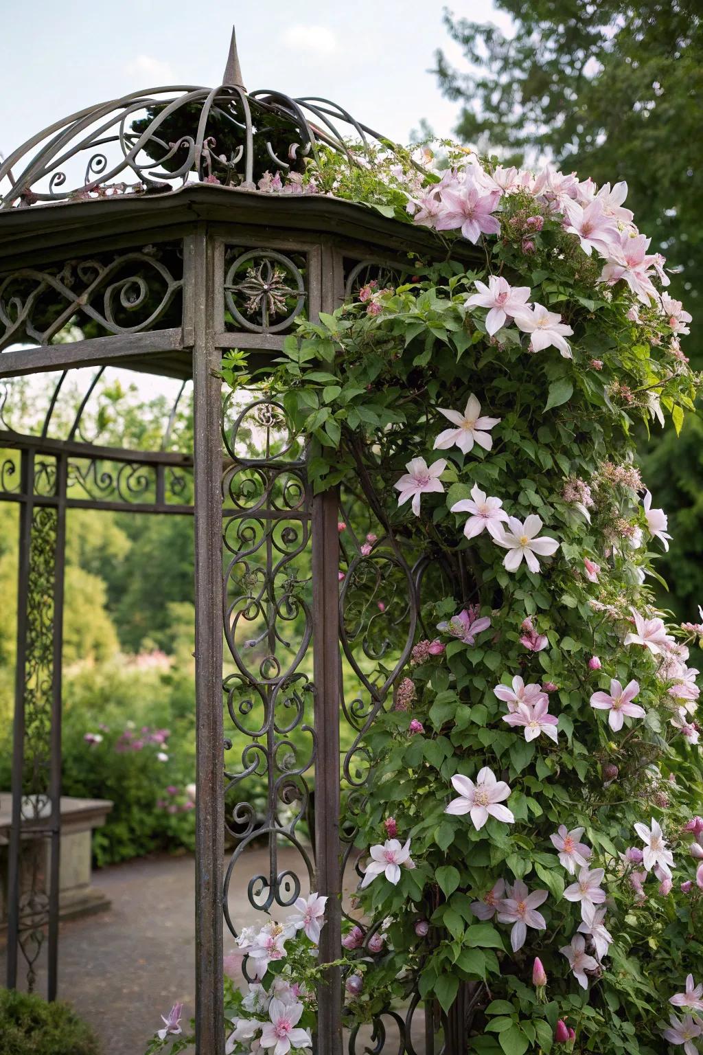 A hand-forged metal support adds long-lasting beauty to a clematis display.