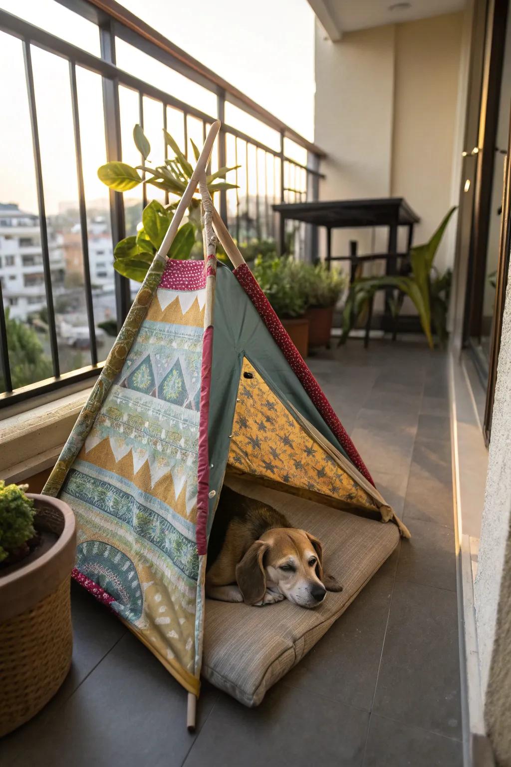 A DIY dog tent offers a snug retreat for dogs.