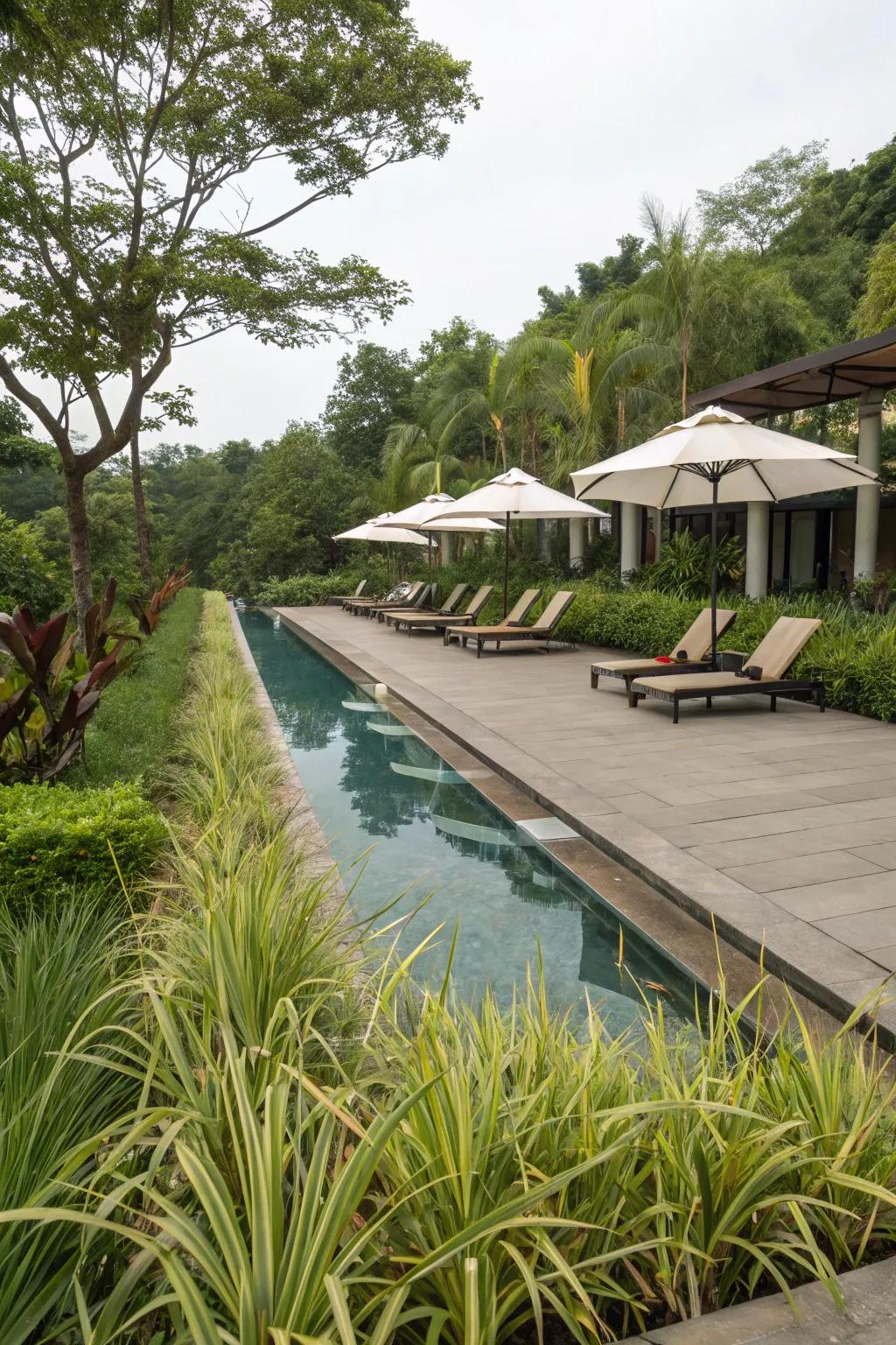 A poolside paradise framed by the verdant appeal of 'fountaingrass'.