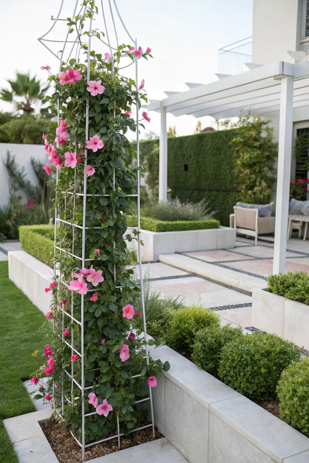 A sleek cable support delivers modern aid for blushing trumpet vine in a minimalist garden.