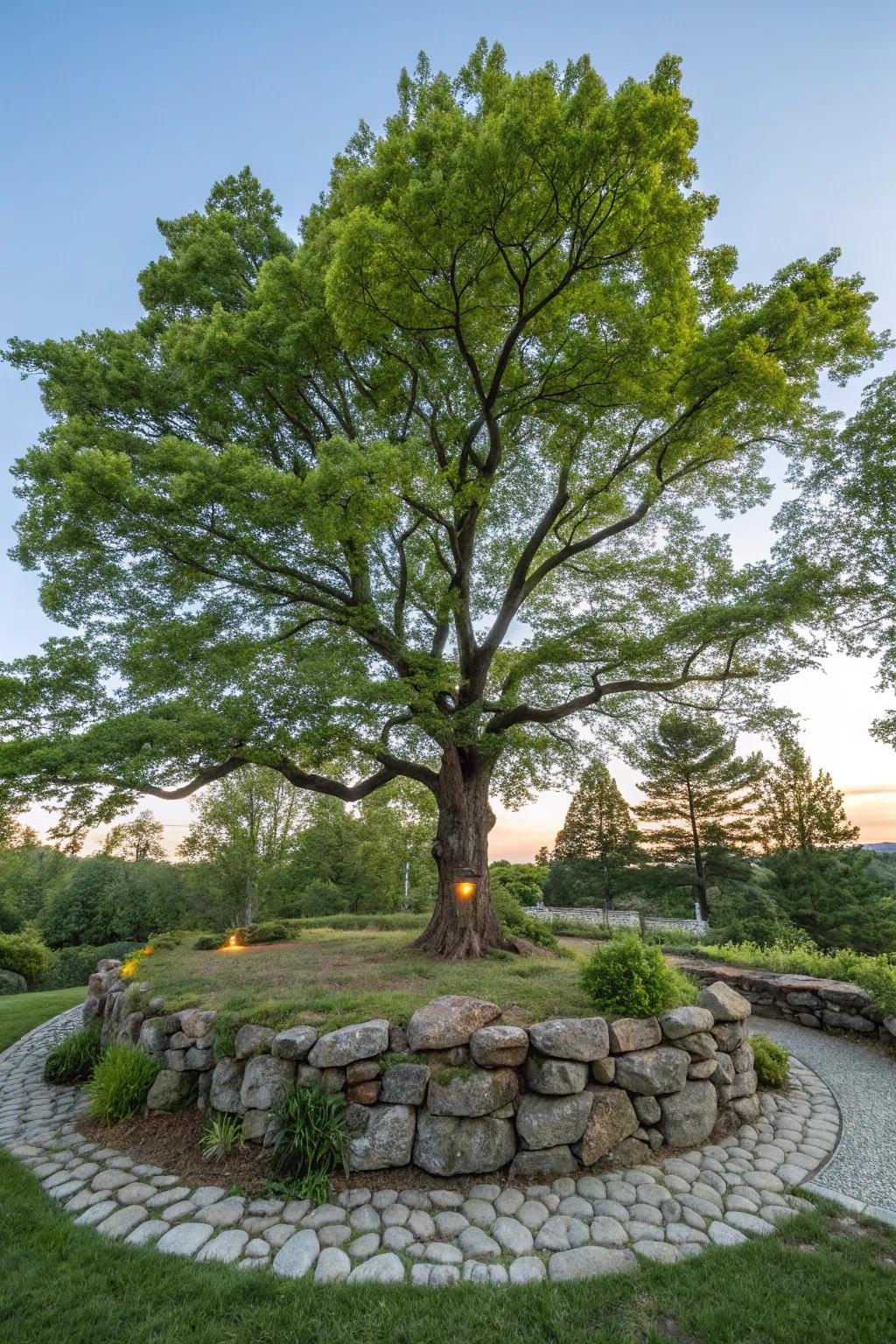 Stone structures can spotlight special trees, enhancing garden focal points.