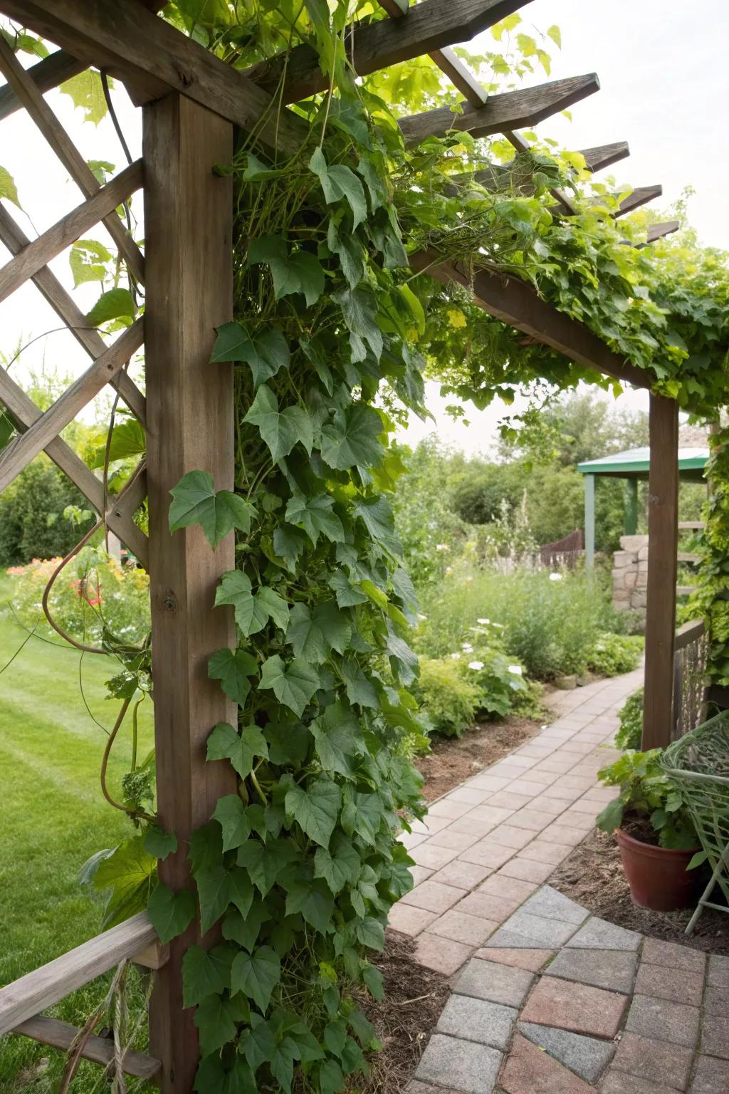 A flora support laden with vibrant vines adding privacy and color.