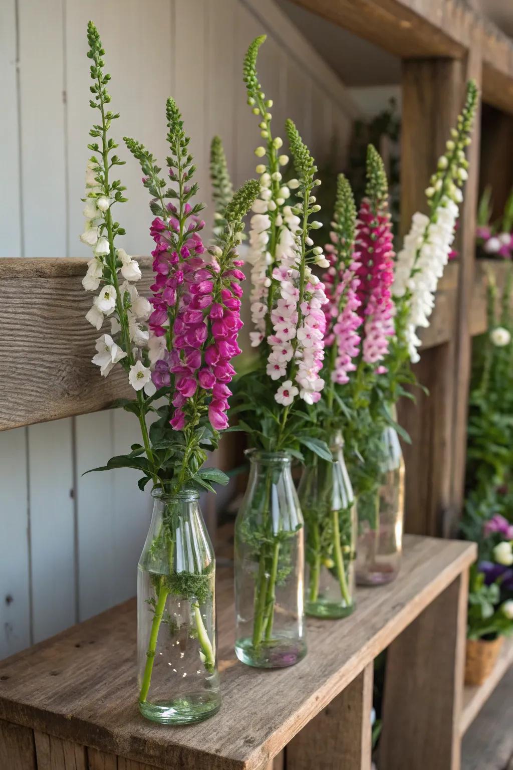 Glass bottles repurposed as vases fashion a sustainable arrangement.