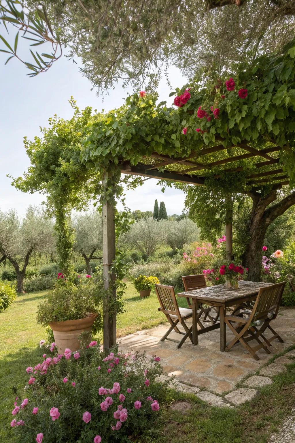 A shaded retreat offers a cool escape in this outdoor space, reminiscent of the Mediterranean.