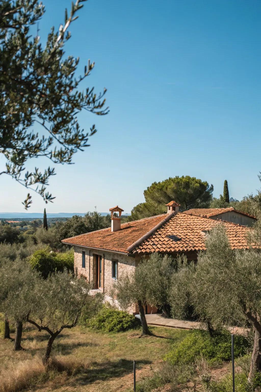 Earthen clay coverings offer timeless style and sustainability.