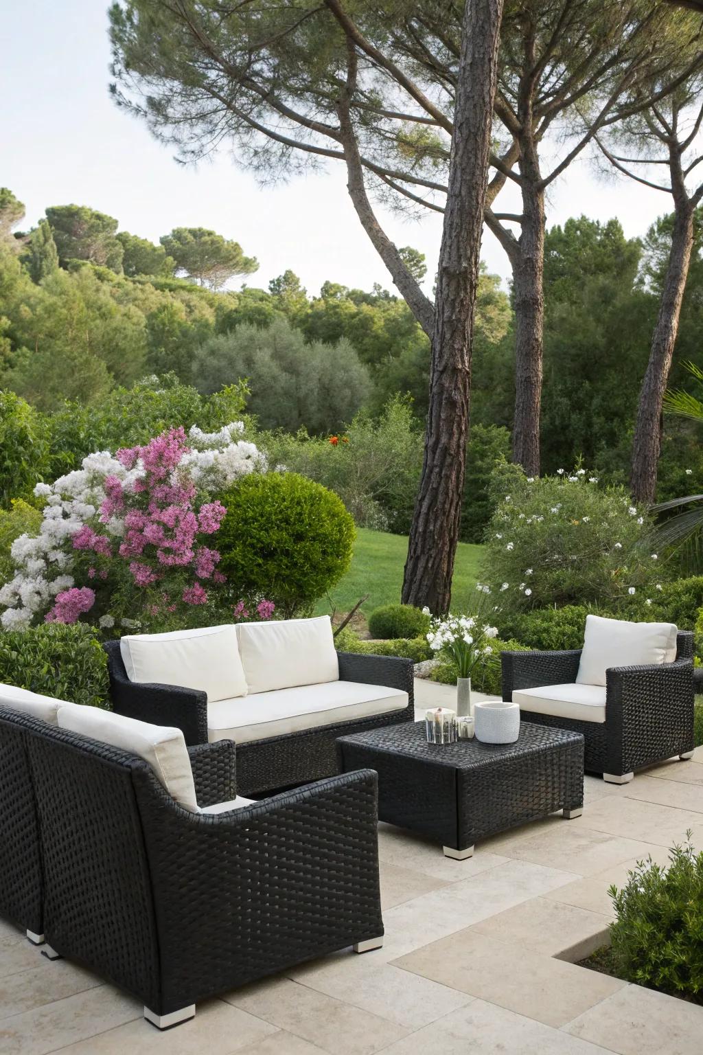 Bold contrasts animate this patio with striking visual impact.