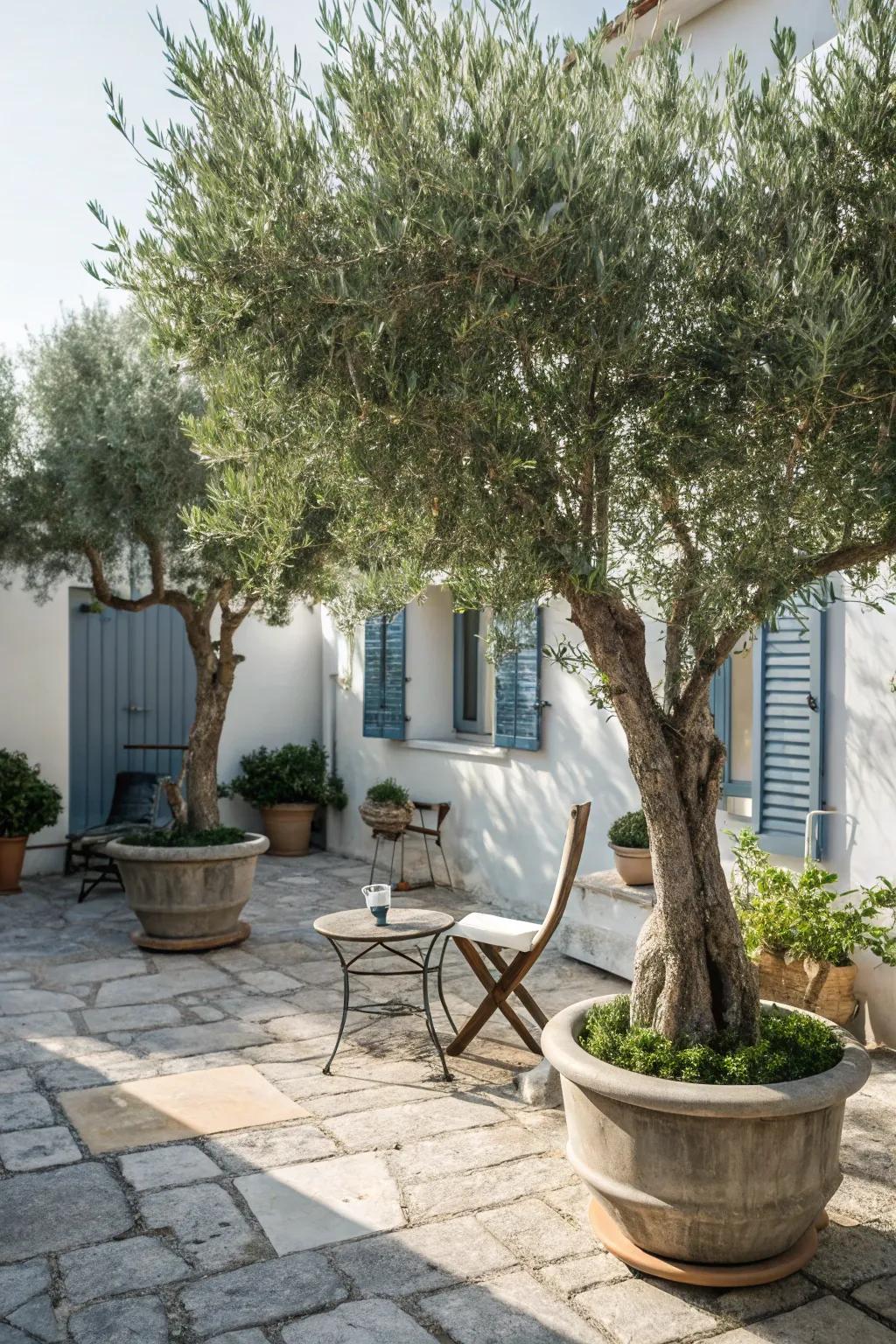 Conjure a Mediterranean escape with Med olives.