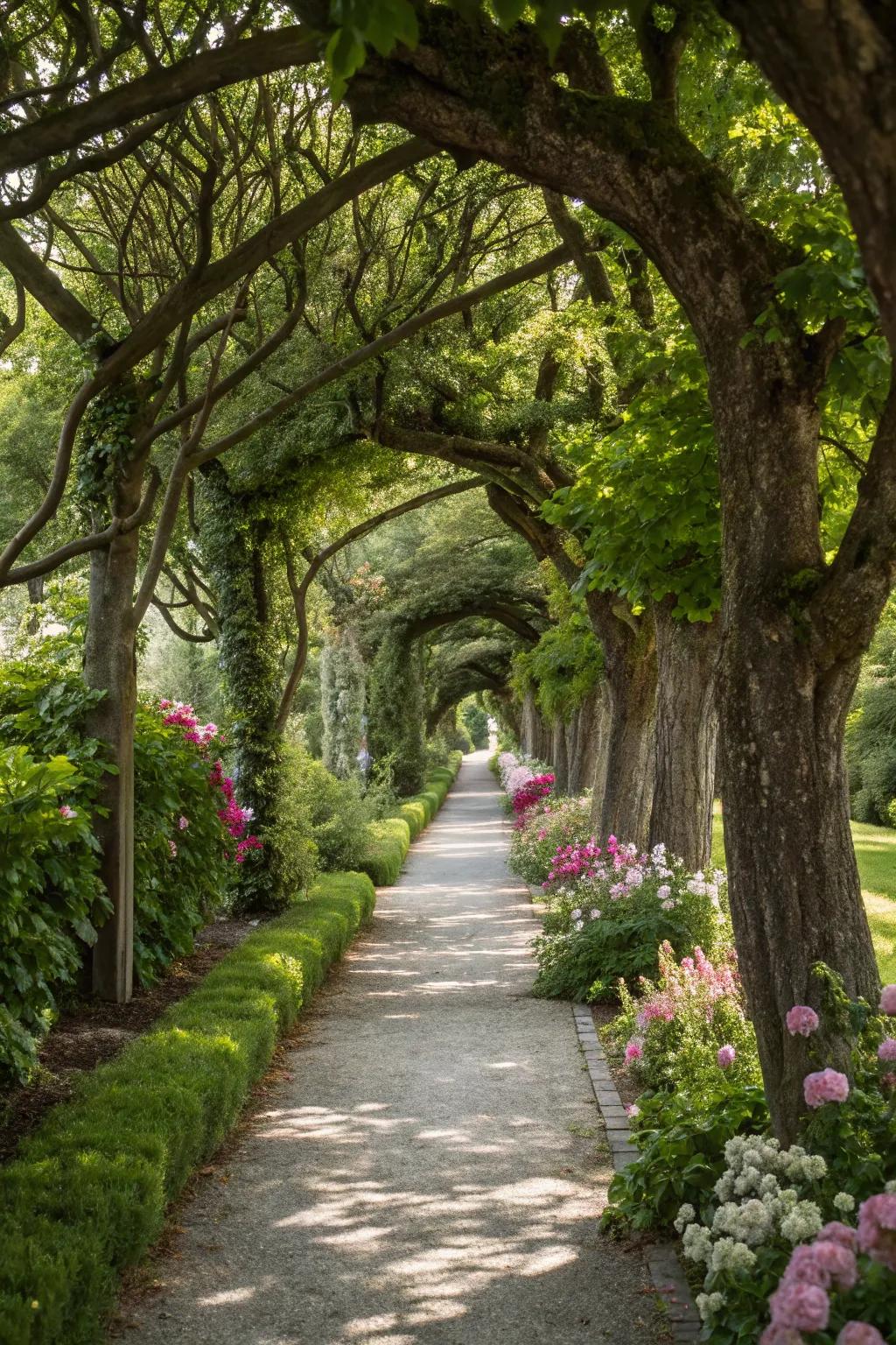 Direct visitors with a tree-framed garden walkway.