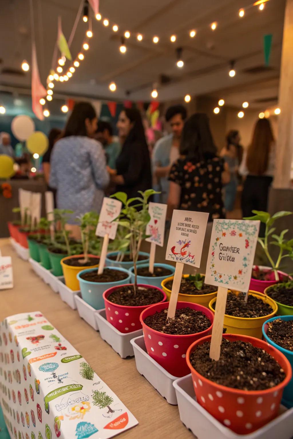 Eco-friendly sprout kits, a gift that flourishes.