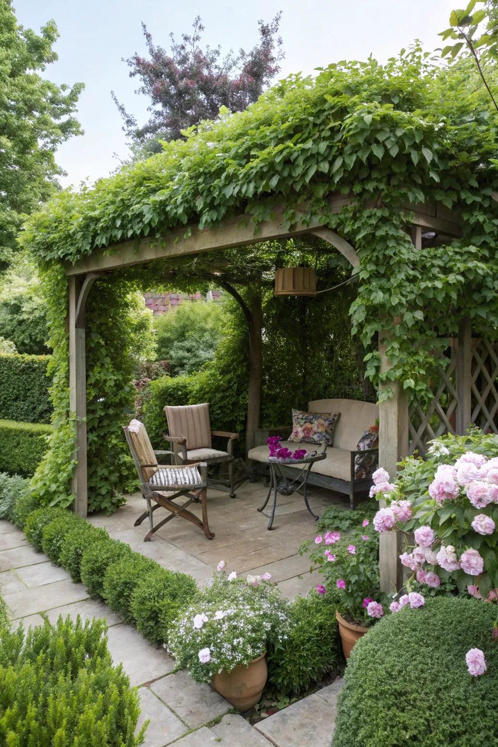 A pergola offers shade and a spot for climbing plants.