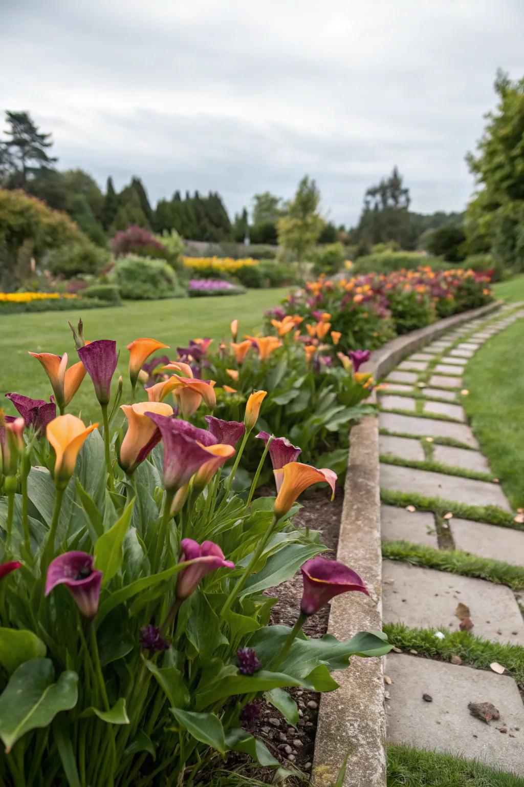 Bold color combinations with radiant snowdrops in the garden.