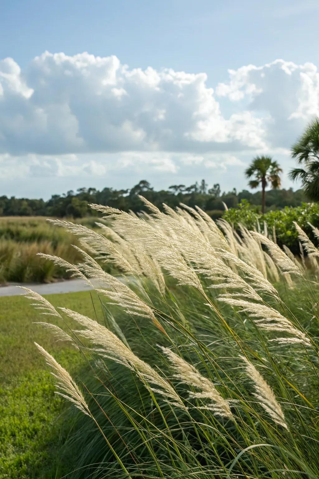 Decorative grasses bring texture and movement to your garden.