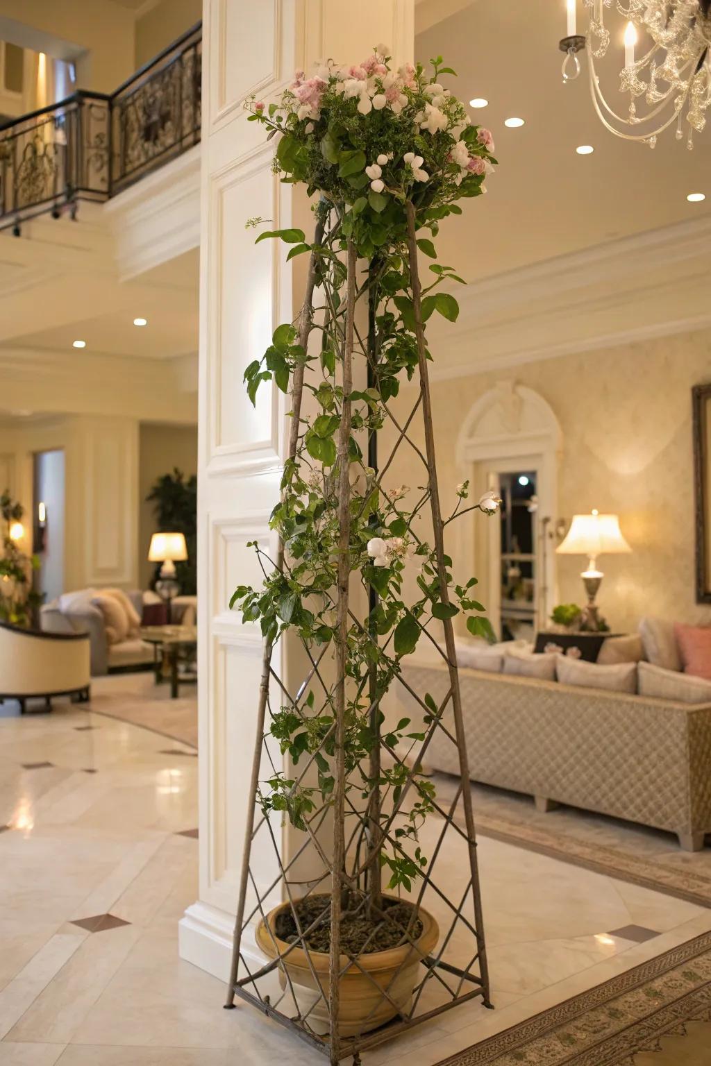 A luxurious home featuring a Hoya on a freestanding obelisk climbing frame.