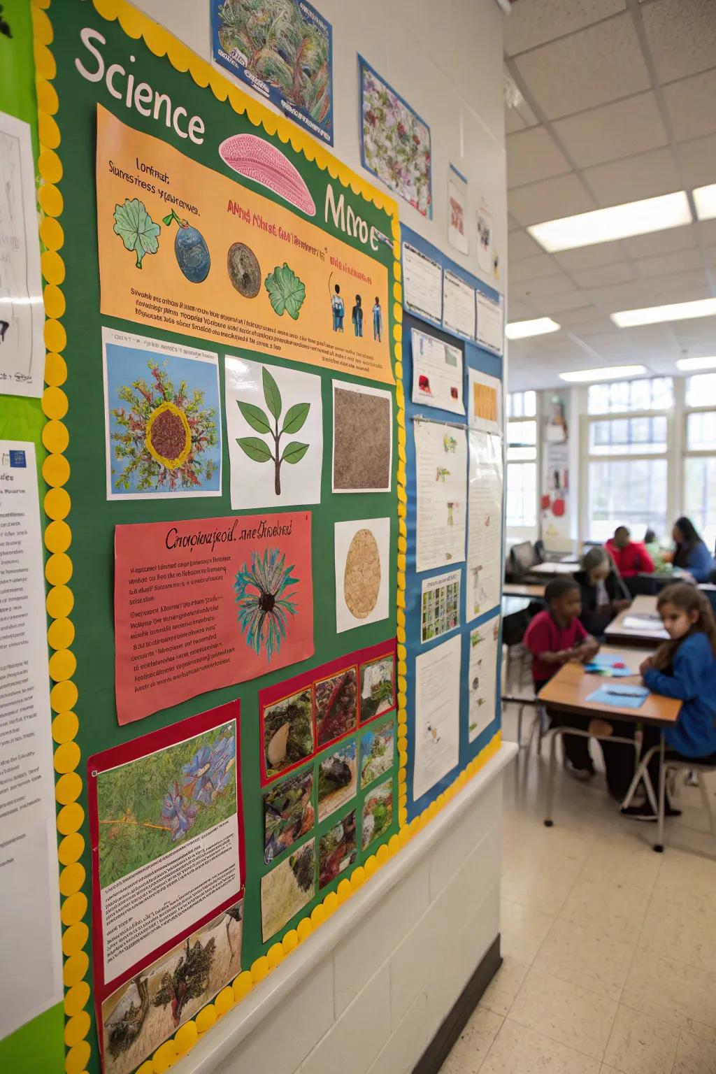 A display panel that stimulates inquisitiveness regarding scholasticism and the organic realm