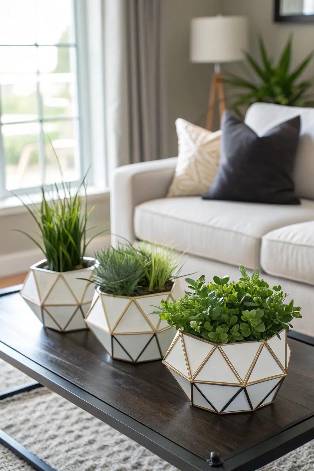Shaped planters introduce a modern note to plant shows.