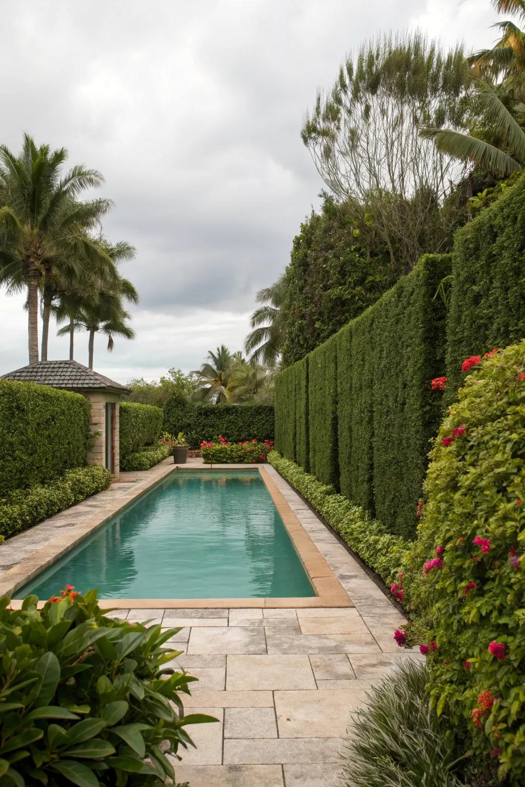 Elevate seclusion with rich bushes encircling your pool.