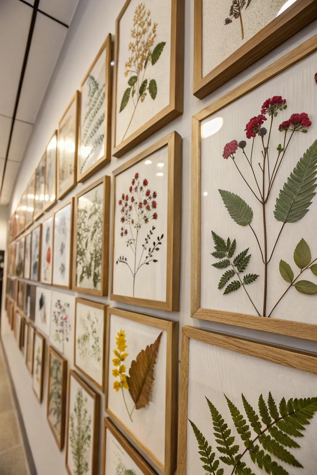 Botanical borders append an organic element to your decor.