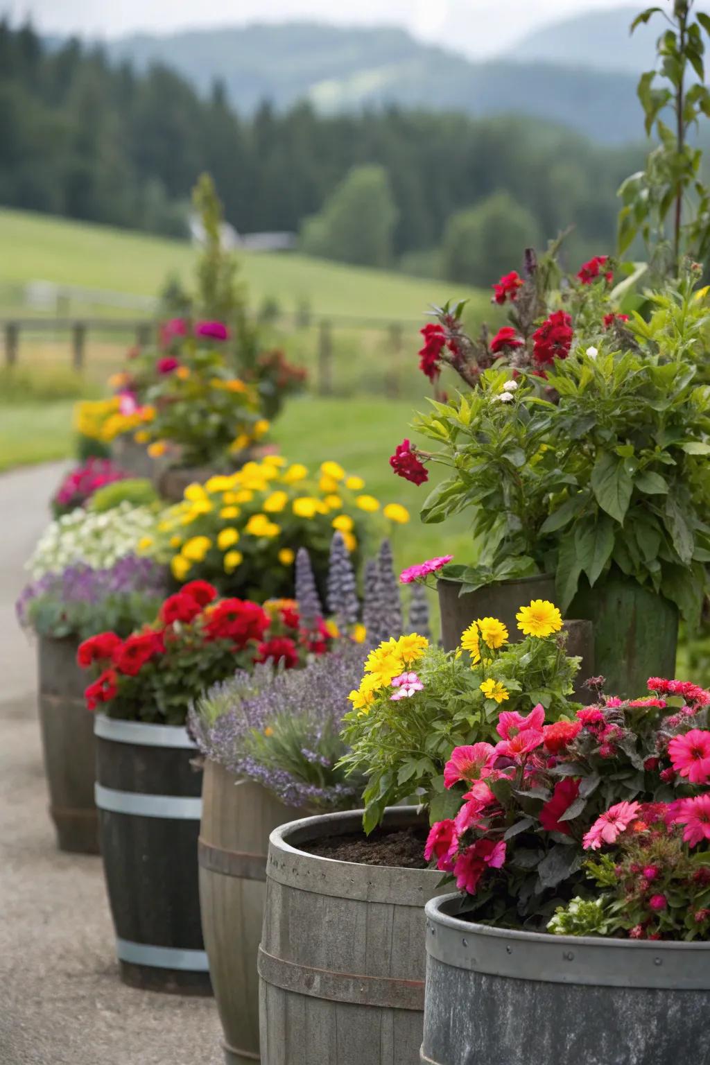 A lively arrangement of container gardening showcases a variety of plants and pots, creating a vibrant display.
