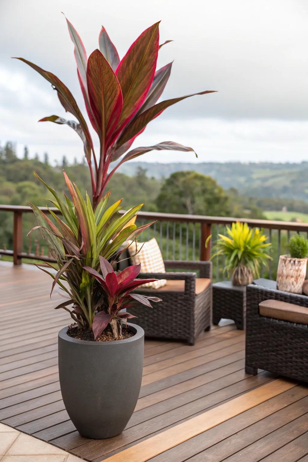 A prominent plant conceives a breathtaking focal point.