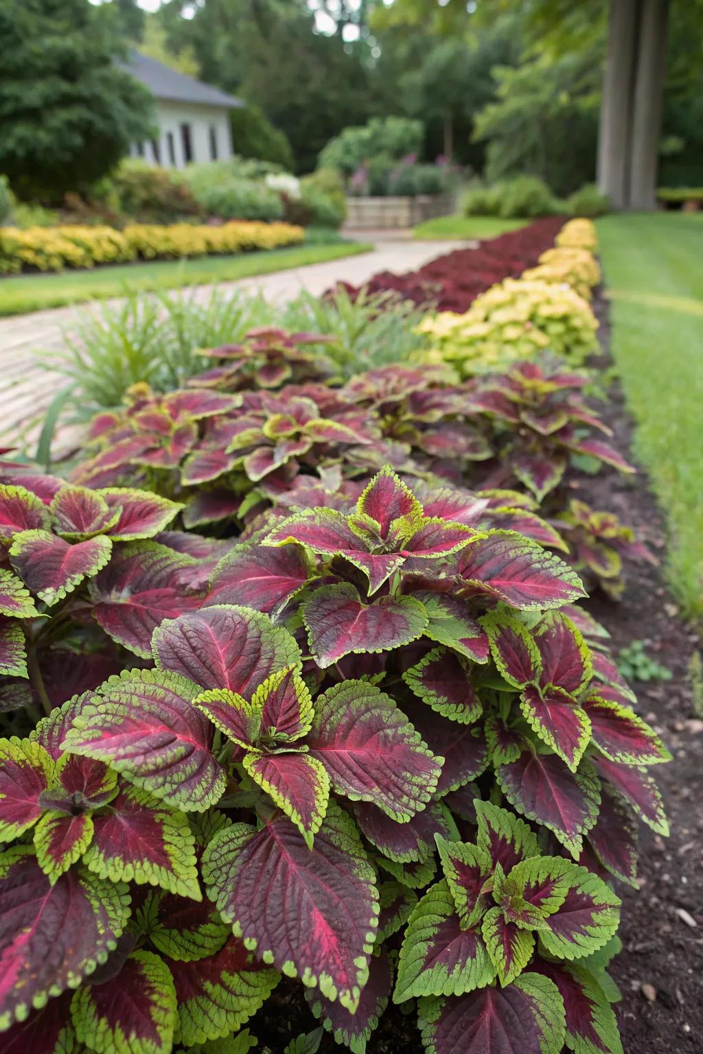 Trumpetweed infusing texture and hue to a garden expanse.
