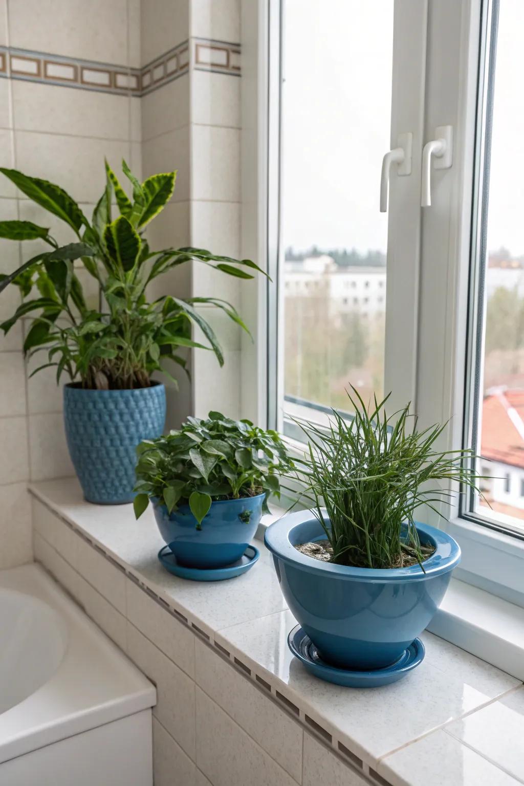 Azure plant containers introduce a revitalized and vibrant touch to this animated washroom.