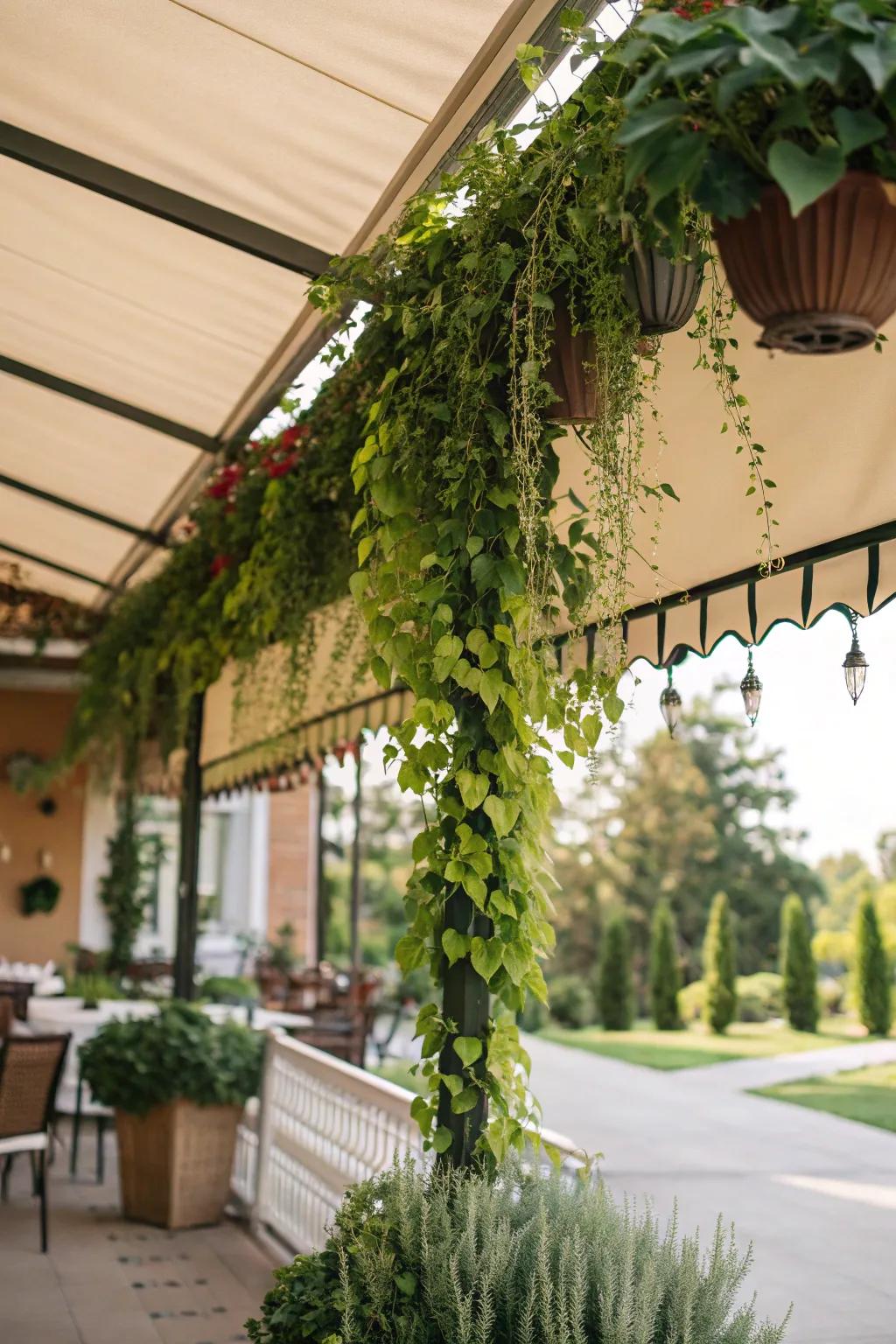 Suspended vegetation adds a natural and vibrant element to coverings.