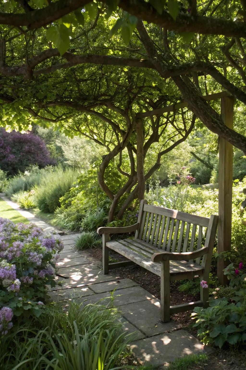 A creative bench with tree limbs as natural supports.