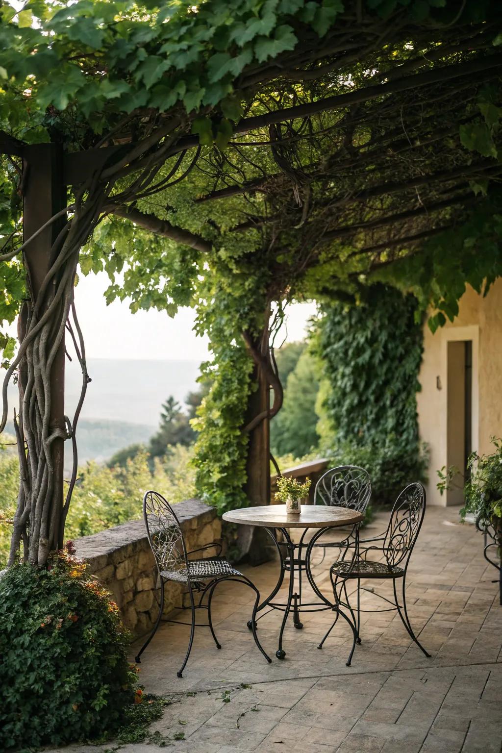 Wrought iron furniture nestled amid climbing vines engenders a secluded garden atmosphere.