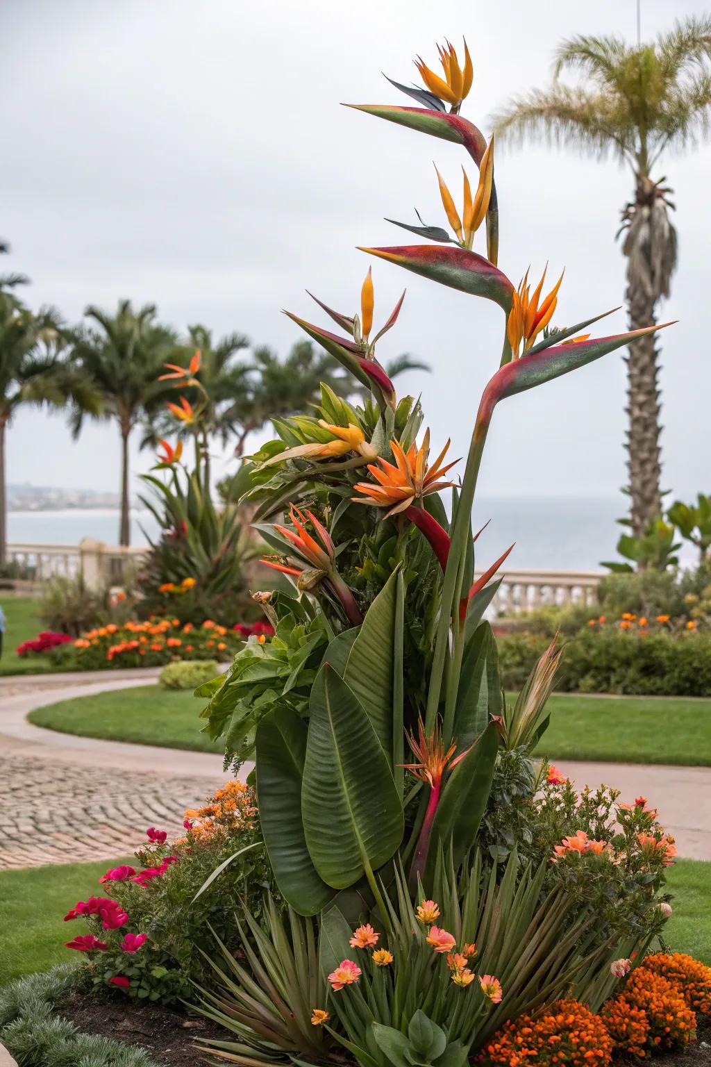 Transform Bird of Paradise into living art through creative shaping.