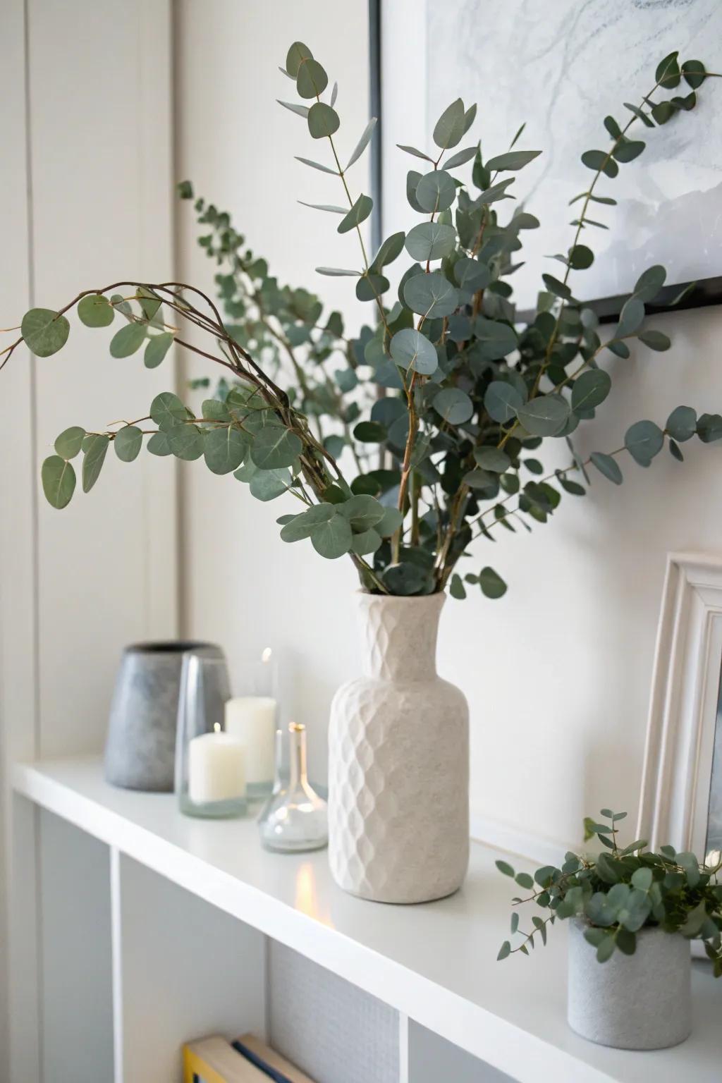 Refresh your space with eucalyptus elegance.