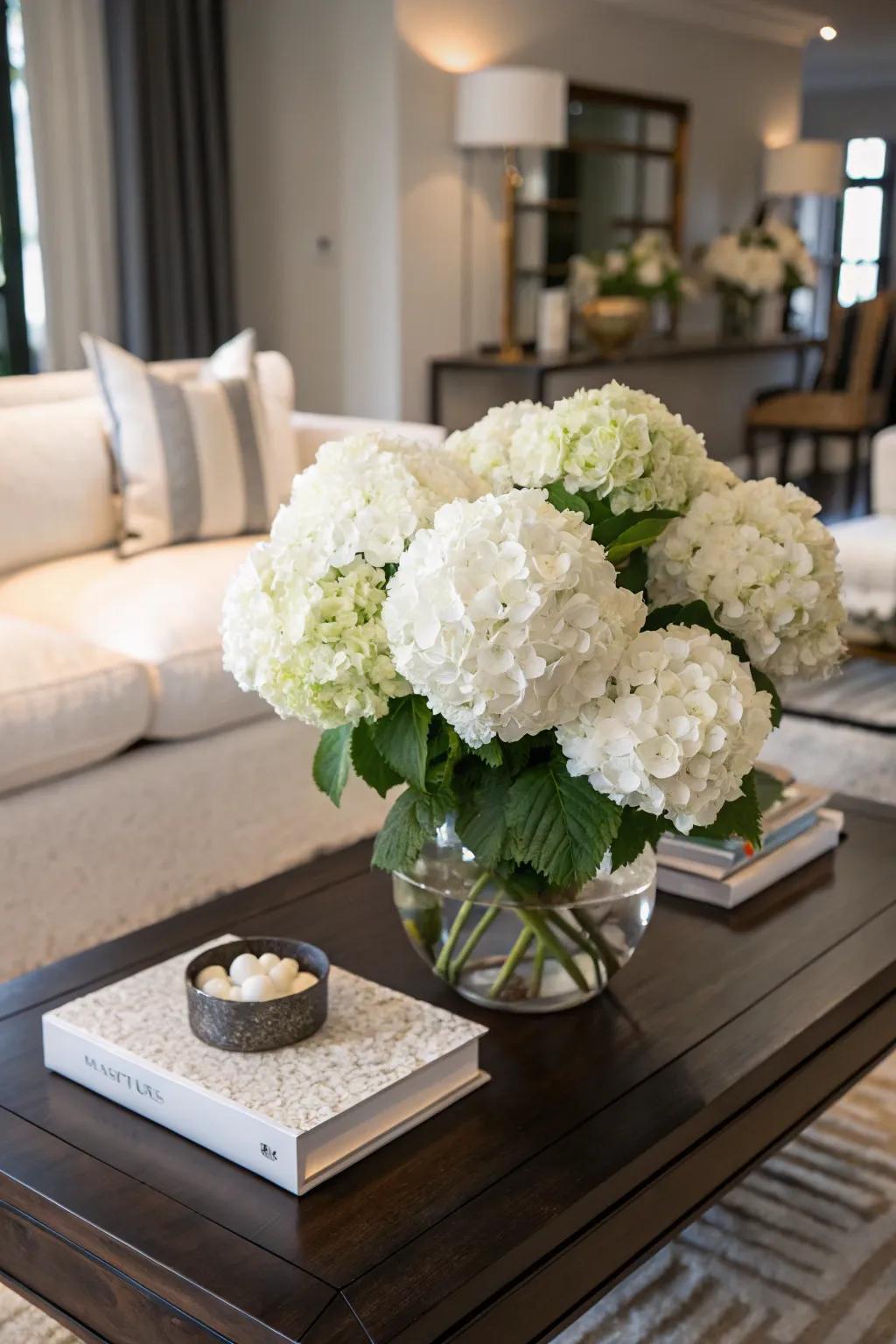 Ivory hydrangeas making a striking declaration inside a personal space.