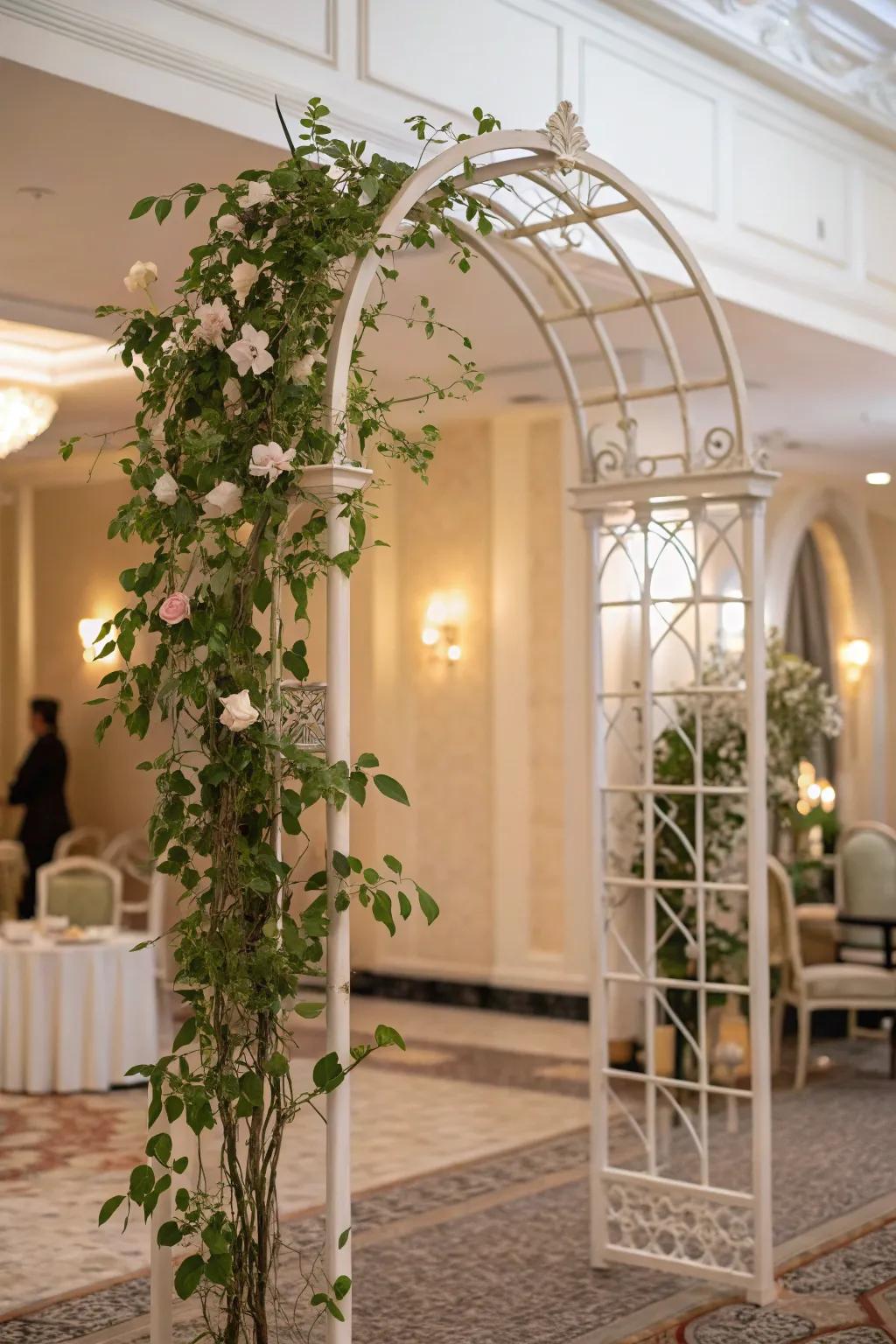 A sophisticated interior featuring a Hoya on an elegant archway climbing frame.