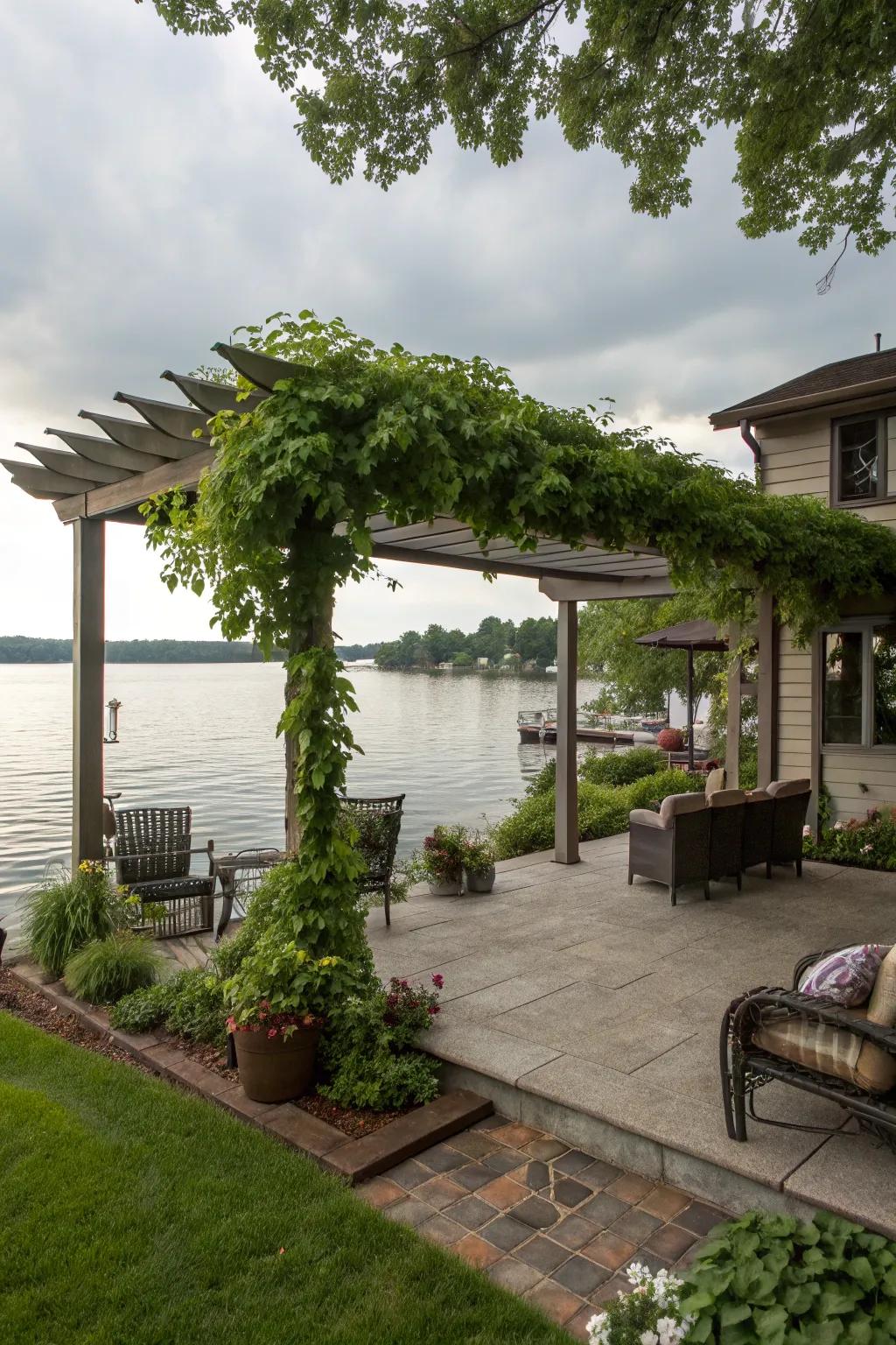 A vine-draped pergola offering shade and style.