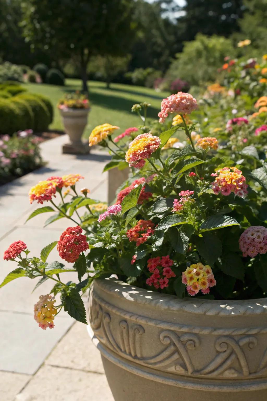 Tickseed bringing colorful clusters in full sunlight. <strong><em>The vibrant colors are simply captivating.</em></strong>” loading=”lazy” class=”pimg”>
	</picture><figcaption>Tickseed bringing colorful clusters in full sunlight. <strong><em>The vibrant colors are simply captivating.</em></strong></figcaption></figure>
<p>Tickseed is a riot of color that thrives in full sun with minimal care. Its clusters of flowers are a magnet for butterflies, adding life to my garden, creating a vibrant and lively atmosphere. <strong><em>Its cheerful presence is truly captivating.</em></strong></p>
<h3>A few suggestions:</h3>
<ul class=